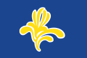 Emblem of the Brussels-Capital Region