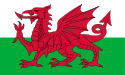 A flag of a red dragon passant on a green and white field.