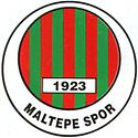 Maltepespor logo.jpg