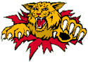 Monkton Wildcats Logo.png