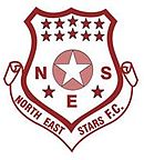 North East Stars.jpg