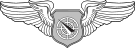USAF - Occupational Badge - Air Battle Manager.svg