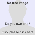 Replace this image male.svg