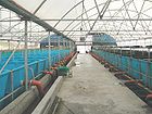 Biosecure KOI breeding and growing intensive facility in Israel.jpg