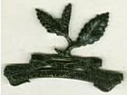 Ceylon Planters Rifle Corps badge.jpg