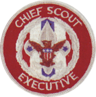 Chief Scout Executive