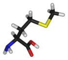 L-methionine-3D-sticks.png