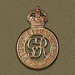 1st Life Guards Badge.jpg