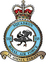 24 Squadron badge