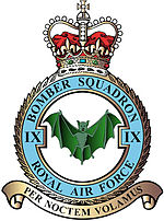 9 Squadron badge