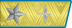 CCCP air-force Rank marshal aviacii infobox.svg