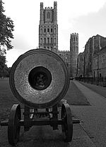 Cannon on the Palace green