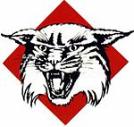 Davidson Wildcats athletic logo