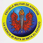 EMAVI logo.jpeg