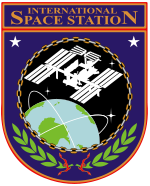 A silhouette of the ISS shown orbiting above the Earth. This image is suspended within an orange and purple shield, with the words 'International Space Station' above the image, and laurel leaves beneath.