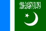 Jamaat-e-Islami Pakistan flag.PNG