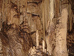 Mammoth Cave National Park 007.jpg