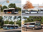 Metropolitan Transportation Authority Regional Bus Operations services sampler.jpg