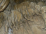 Oregon Caves p1080458 1024.jpg