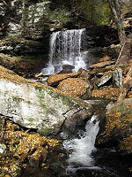 The stream falls over a ledge and onto rocks, then appears to zig-zag from left to right and back to the left going around several large boulders. Newly fallen leaves cover the rocks near the stream and conifer saplings are visible along its banks.