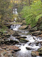 A series of cascading falls with the tallest falls in the distance, the following falls are much lower and fall over just one layer of rock. It is autumn, with leaves in various stages of color on the trees; some are green and others are orange or yellow. Fallen leaves cover many of the rocks along the stream.