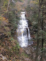  A tall falls cascading over many layers of stone, seen from a height. The leaves are thinning out and some trees are bare. Two thin and straight tree trunks appear on the left.