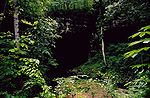 Russel Cave Entrance RUCA9323.jpg