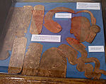 Replicas of copper pieces found at the Spiro site