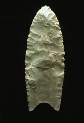 "A Clovis blade with medium to large lanceolate spear-knife points. Side is parallel to convex and exhibit careful pressure flaking along the blade edge. The broadest area is near the midsection or toward the base. The Base is distinctly concave with a characteristic flute or channel flake removed from one or, more commonly, both surfaces of the blade. The lower edges of the blade and base is ground to dull edges for hafting. Clovis points also tend to be thicker than the typically thin later stage  Folsom points. Length: 4–20 cm/1.5–8 in. Width: 2.5–5 cm/1–2