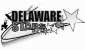 Delaware Stars logo