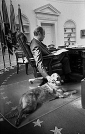 A man is shown from behind, seated in a leather chair at an ornate wooden desk in the Oval Office. His right hand is reaching to the floor to pet a large golden retriever lying at his feet.