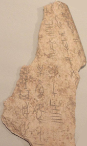 Photograph of bone fragment with carved characters