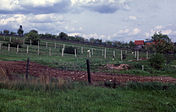 A hillside with multiple barbed-wire fences running parallel to each other, with fruit trees, a barn and a watchtower in the background.