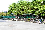 Bicycle Parking on campus