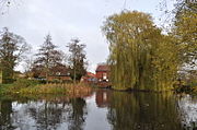 View of millpond upstream of wier, looking toward the Mill building. The Mill building is largely obscured by a very pale yellow-green weeping willow on the right. A small clump of bulrushes and two spindly conifers on the left frame the mill cottage where the restaurant is. The water is placid, and as flat as the proverbial mill-pond. The trees and the building are reflected perfectly in the water, as is the grey and featureless sky.