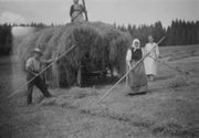 Old photo of hay wagon