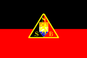 National Socialist Movement in the Netherlands logo.png