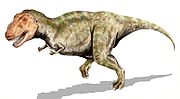 Tyrannosaurus BW.jpg