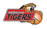 Melbourne Tigers Logo.JPG