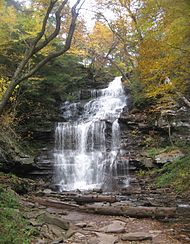 The image on the left is the first of two photographs of the same falls, and shows the cascading falls in autumn. The water flows over layers of rock and is surrounded by deciduous trees with yellow, brown and orange leaves.
