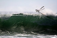 Photo of surfer catapulted into the air with feet higher than head at 45 degree angle to surface