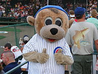 A color photograph of a person wearing an anthropomorphized grizzly bear costume and dressed in a white pinstriped baseball uniform with a red, white, and blue patch on the chest reading, "CUBS"