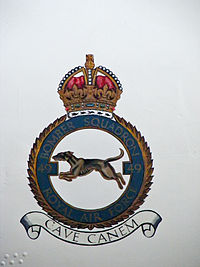 49 Squadron emblem.JPG