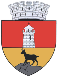 Actual Piatra Neamt CoA.png