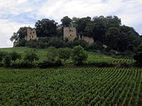 The château d'Arlay