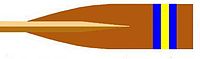Blade Colours of Dittons Skiff and Punting Club
