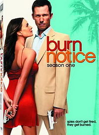 Burn Notice Season 1.jpg
