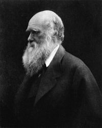 Charles Darwin by Julia Margaret Cameron 2.jpg