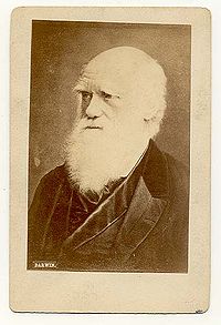 Charles Darwin carte de visite.jpg
