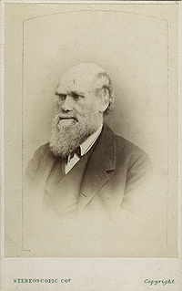 Charles Darwin photograph, after Ernest Edwards, circa 1866.jpg
